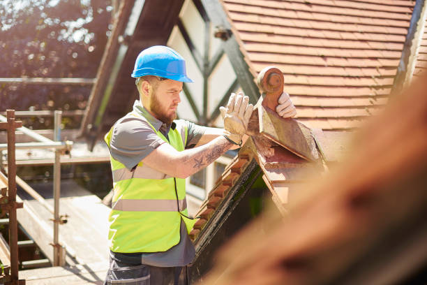 Professional Roofing Contractor in Hampton, IA