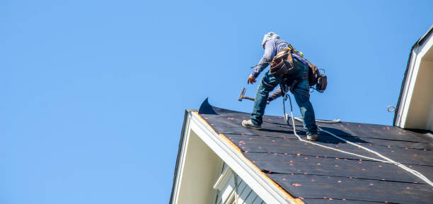 Best Roof Repair Specialists  in Hampton, IA